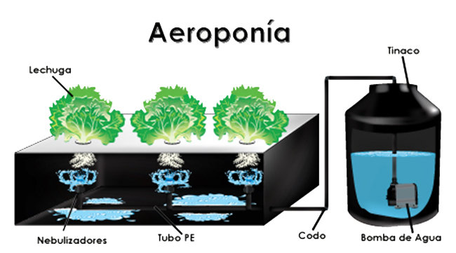 sistema aeroponico