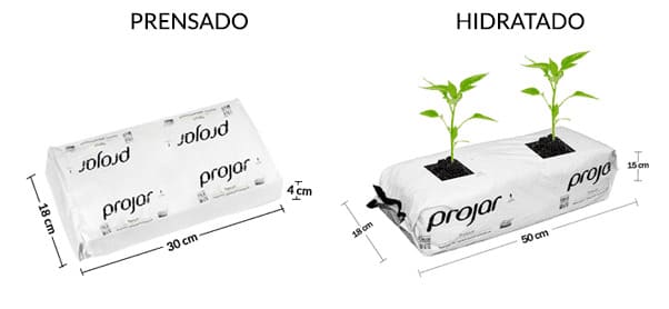 medidas de boli o slab de fibra de coco projar de 1 metro de largo Slab de fibra de coco hidropónico Sustrato hidropónico fibra de coco Fibra de coco comprimido para cultivo Slab para hidroponía Fibra de coco Projar-Growbag Slab coco para raíces Sustrato para cultivo hidropónico Slab de fibra de coco para hortalizas Sustrato hidropónico orgánico Coco prensado para hidroponía Slab de coco de medio metro o 50 centímetros de Fibra de coco para hidroponía deshidratado comprimido cocopeat boli bolis o mangas para marihuana canabis cannabis y hortalizas