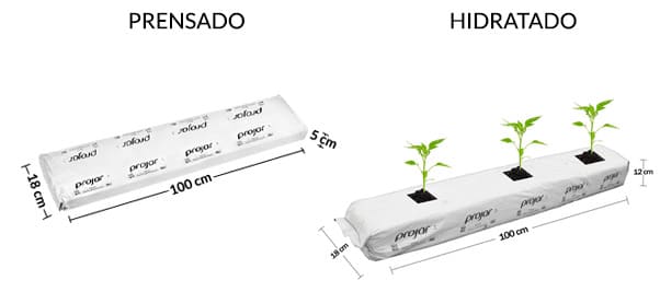 medidas de boli o slab de fibra de coco projar de 1 metro de largo Slab de fibra de coco hidropónico Sustrato hidropónico fibra de coco Fibra de coco comprimido para cultivo Slab para hidroponía Fibra de coco Projar-Growbag Slab coco para raíces Sustrato para cultivo hidropónico Slab de fibra de coco para hortalizas Sustrato hidropónico orgánico Coco prensado para hidroponía Slab de coco 1 metro Fibra de coco para hidroponía deshidratado comprimido cocopeat boli bolis o mangas para marihuana canabis cannabis y hortalizas