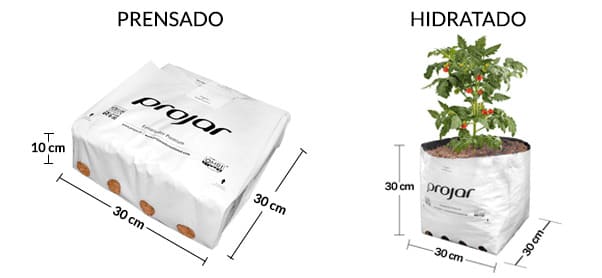 bolsa de fibra de coco para hidroponía sustrato comprimido para cultivo hidropónico fibra de coco para plantas sustrato para hortalizas hidroponía fibra de coco 9 litros bolsa de sustrato para cultivo hidropónico sustrato natural para hidroponía bolsa de fibra de coco OMRI fibra de coco para frutillas sustrato ecológico para hidroponía sustrato reciclable para cultivos sustrato para cultivo de frutillas sustrato para hidroponía 27 litros fibra de coco para cultivo en bolsa cocopeat de arandanos zarzamoras moras zarzas frambuesas higo e higueras
