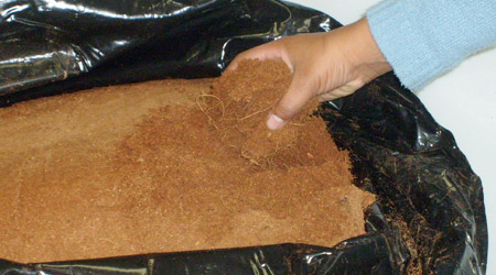 Fibra de coco Sustratos Hidropónicos 