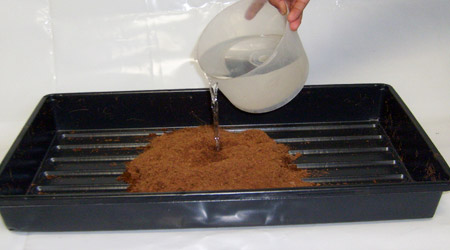 Humedeciendo Fibra de Coco