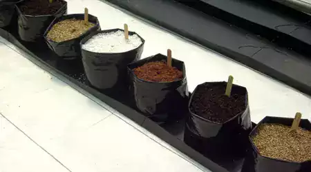 cultivo en bolsas de sustrato por hidroponia