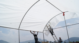 Guía: Arma tu Invernadero Casero Hydro-Crop