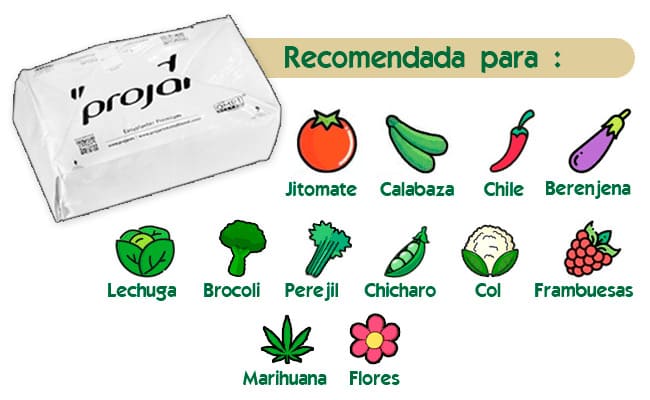recomendaciones bolsa de fibra de coco comprimida de fibra de coco projar
