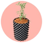 Macetas Air Growers