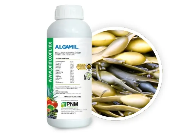 Algamil