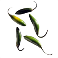 Chile Serrano
