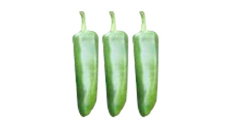 Sobre de 1000 Semillas de Chile Jalapeño Híbrido Durango F1