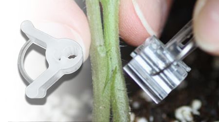 Millar de Pinzas o Clips para injerto de plantas WM 2.8 mm