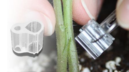 Millar de Pinzas o Clips para injerto de plantas M 2.5 mm