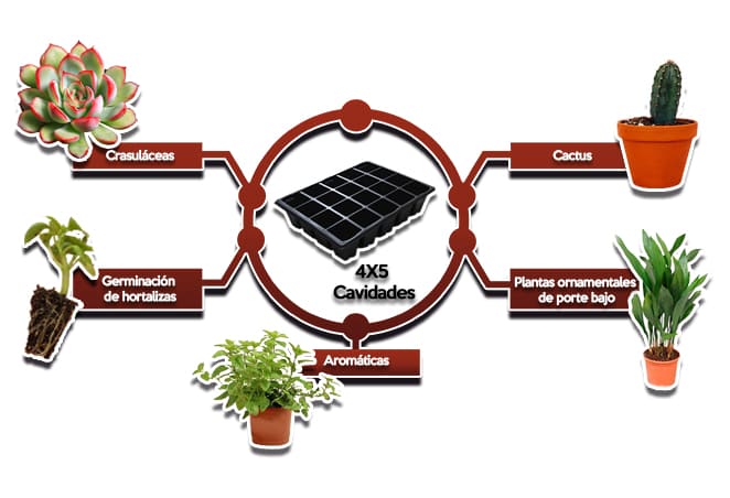 Usos Charola para germinar de 20 Cavidades Cuadradas