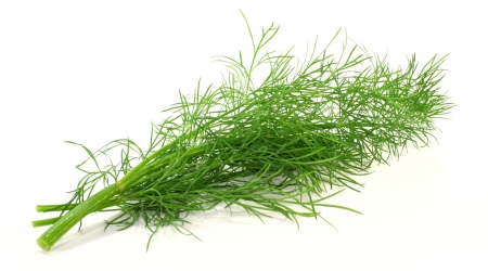 Gramo de Semilla de Eneldo