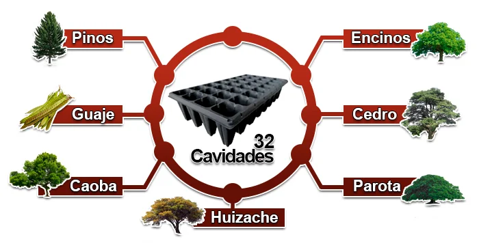 Charola de germinación Forestal de 32 Cavidades termoformada usos de la charola y cultivos ideales