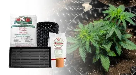 Kit de Siembra de Marihuana Hidropónica en Casa con Sustrato