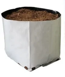 Bolsa_de_sustrato_de_fibra_de_coco para Cultivo de arándano casero