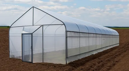 Invernadero Mini Green de 6 x 40 Metros a un Túnel de Superficie de 240 m2 (Estructura y Cubierta)