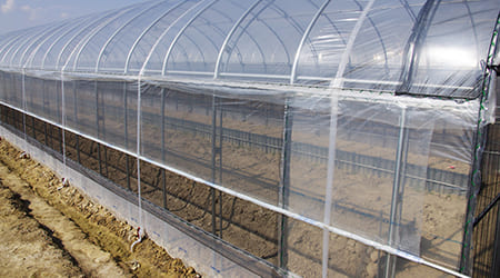 invernadero con cubierta transparente en techo y paredes de plastico halls