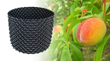 Maceta para árboles frutales Air Grower de 78 litros