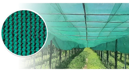 Rollo de malla sombra raschell VERDE al 90% de 4 m