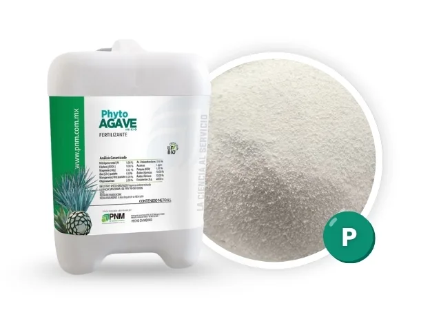 Phyto Agave Inicio