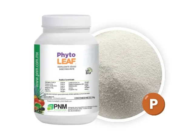 Phyto Leaf