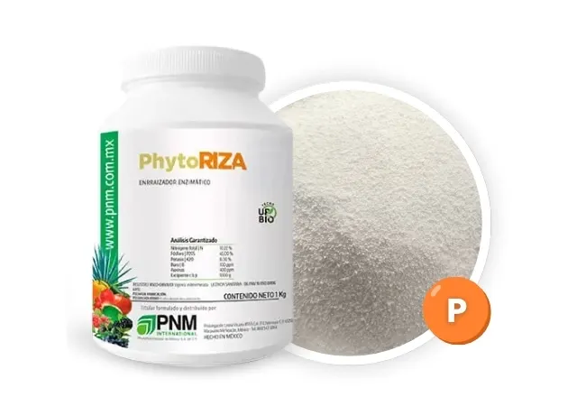 Phyto Riza