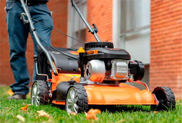 Herramienta de jardinería, máquina de cortar césped, segadora de césped.