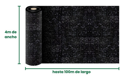 Medidas Raschell Negra