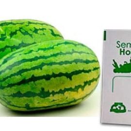 Gramo de Semilla de Sandía Var Jubilee