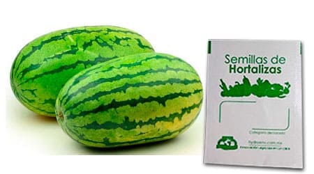 Gramo de Semilla de Sandía Var Jubilee