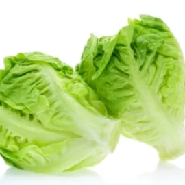 Sobre de Semilla de Lechuga Baby Sucrine