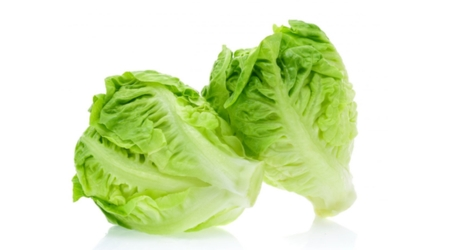 Sobre de Semilla de Lechuga Baby Sucrine