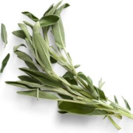 Sobre de Semilla de Salvia