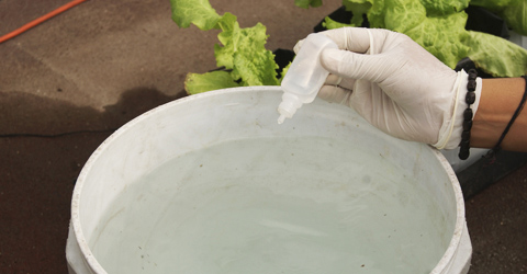 Acidificando Agua