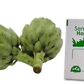 Gramo de Semilla de Alcachofa