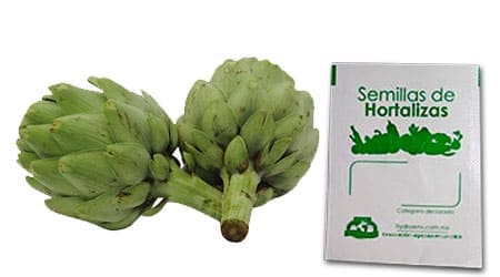 Gramo de Semilla de Alcachofa
