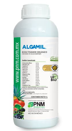 Nutriente foliar de algas marinas, Abono foliar de algas, Estimulante foliar de algas marinas, Biofertilizante de algas marinas, Potenciador foliar de algas, Suplemento foliar de algas, Fertilizante foliar de extracto marino, Activador foliar de algas, Refuerzo foliar de algas marinas, Concentrado foliar de algas, Bioestimulante foliar de algas, Enriquecedor foliar de algas marinas