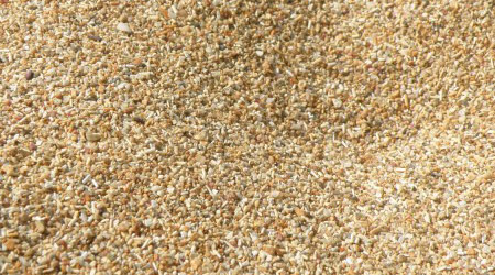 Tipos de sustratos arena de mar