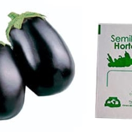 Gramo de Semilla de Berenjena