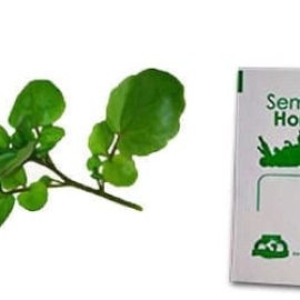 Gramo de Semilla de Berros
