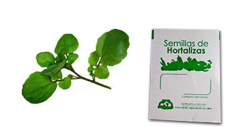 Gramo de Semilla de Berros