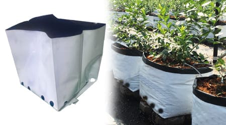 Bolsa para Cultivo de Arándanos de 27 Lt Cal 600 con Antioxidante y UV4