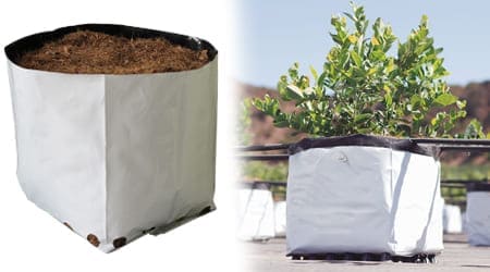 Bolsa de Fibra de Coco para Cultivo de Arándanos – 27 Litros de Sustrato