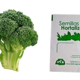 Gramo de Semilla de Brócoli Var Waltham 29