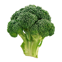Brócoli Waltham, Semilla de Brócoli, Brócoli criollo, Brócoli de primavera, vrocoli, Brassica oleracea