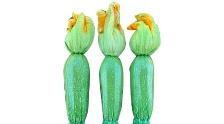 Sobre de 3000 Semillas de Calabaza Híbrida Guerrera F1