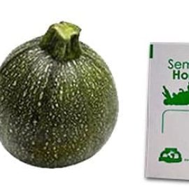 Gramo de Semilla de Calabaza Redonda Var Round Zucchini