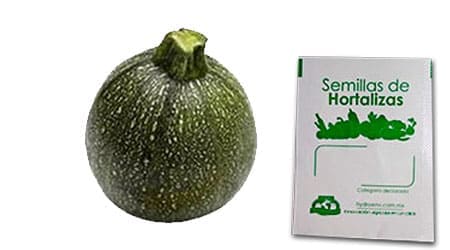 Gramo de Semilla de Calabaza Redonda Var Round Zucchini