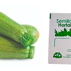 Gramo de Semilla de Calabaza Italiana (Calabacita) Var Grey Zucchini